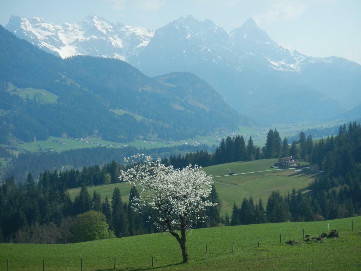 Baerfeld